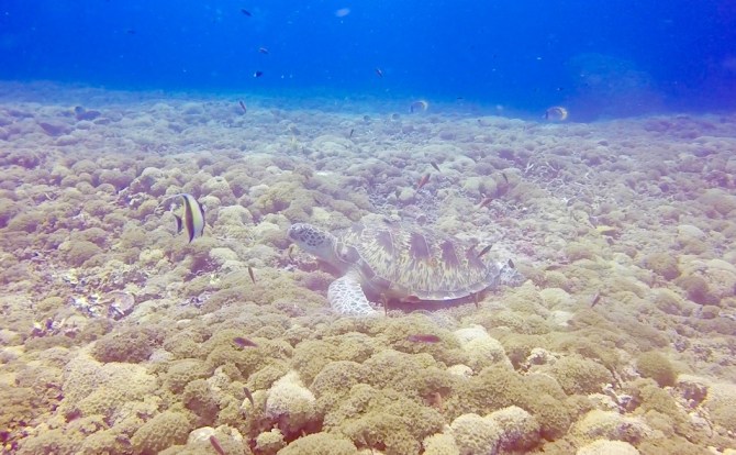 Screen Shot 2017-10-16 at 18.26.48