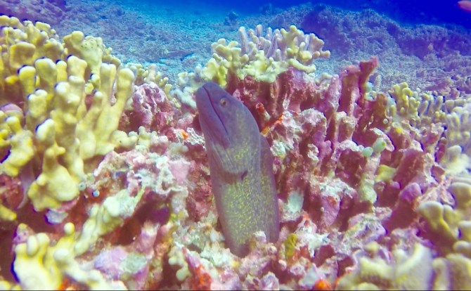 Screen Shot 2017-10-16 at 18.31.00