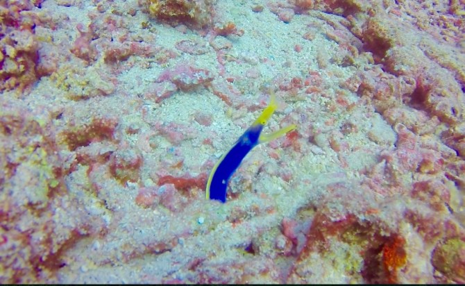 Screen Shot 2017-10-16 at 18.35.12