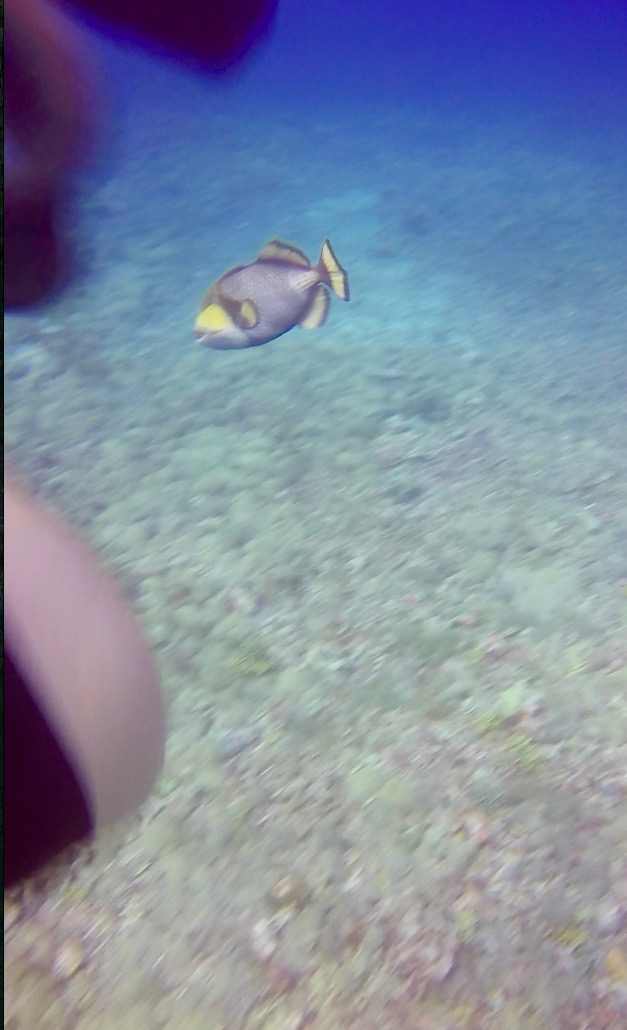 Screen Shot 2017-10-16 at 18.37.05