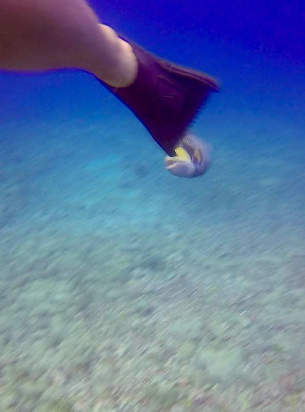 Screen Shot 2017-10-16 at 18.37.27